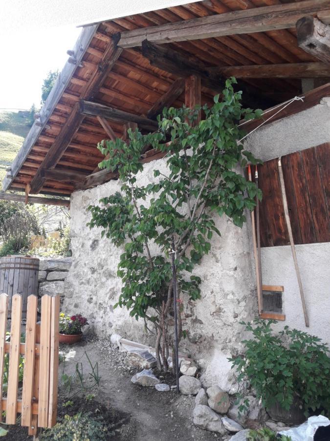 Hofstatthof Βίλα Campo di Trens Εξωτερικό φωτογραφία