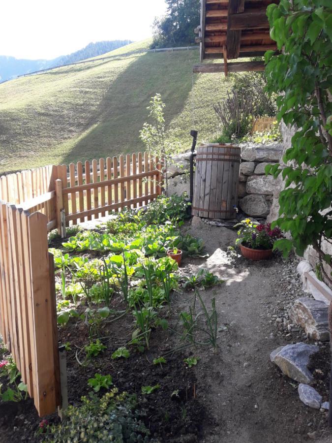 Hofstatthof Βίλα Campo di Trens Εξωτερικό φωτογραφία
