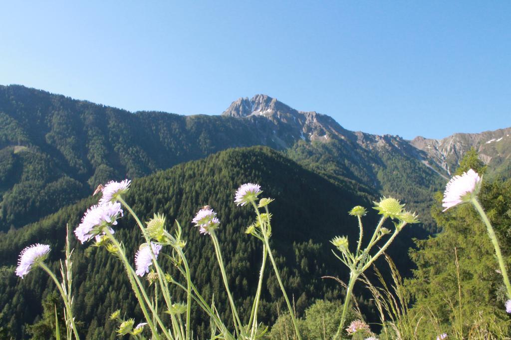 Hofstatthof Βίλα Campo di Trens Εξωτερικό φωτογραφία