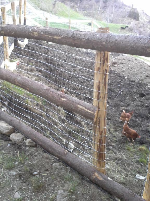 Hofstatthof Βίλα Campo di Trens Εξωτερικό φωτογραφία